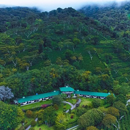 Hotel Finca Lerida Coffee Plantation And Boutique Hotel ボケテ エクステリア 写真