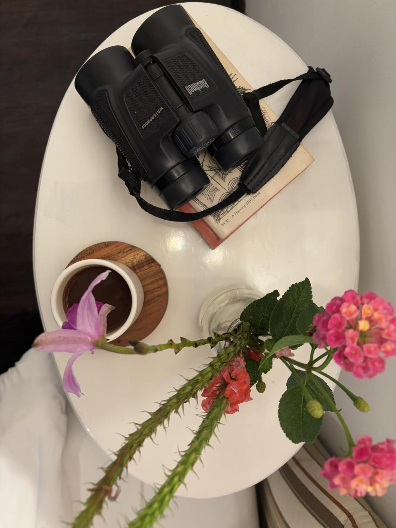 Hotel Finca Lerida Coffee Plantation And Boutique Hotel ボケテ エクステリア 写真